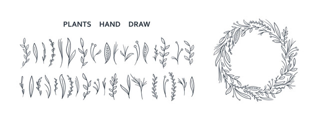 set collection plants leave hand draw vector. Drawing beautiful creeper leaves, decorative set  © Sugey Ilustra