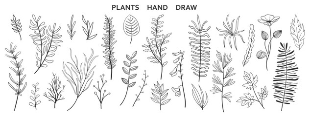 Fototapeta premium set collection plants leave hand drawn vector. Drawing beautiful creeper leaves, decorative set 
