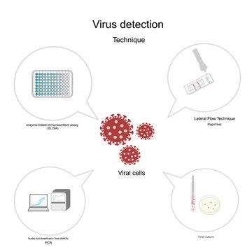 The viral detection technique that picture represent in 4 icons of methodologies: enzyme-linked immunosorbent assay (ELISA), lateral flow (rapid test), nucleic acid amplification tests (NAATs): PCR