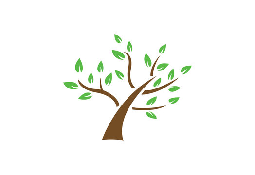 Tree logo. nature, park. vector image.