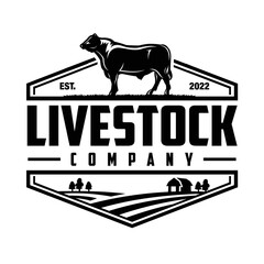 Livestock company logo vector. Cattle ranch premium logo design vector isolated - obrazy, fototapety, plakaty