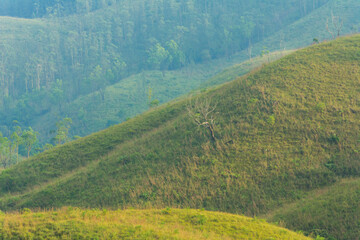 View of vagamon meadows