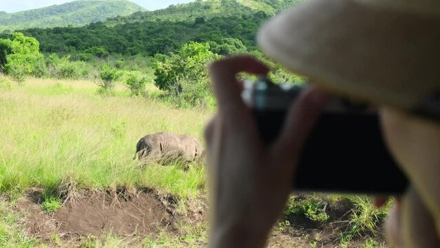 woman Photographer on safari photographs a wild rhinoceros who eats leaves on a bush in the African savannah with red earth, in the dry season. female traveler in safari hat taking photo of rhinoceros