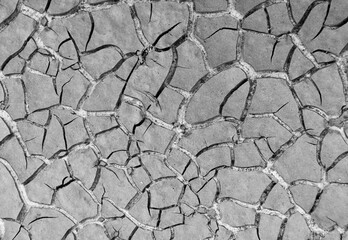 Close up weathered texture of arid cracked ground