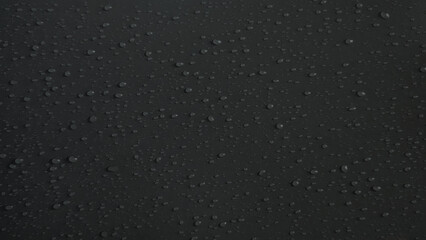 Water drops on a black background