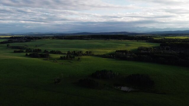 Field green grass pasture mountains in the evening tilt