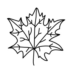 
Leaf Sketch Doodle
