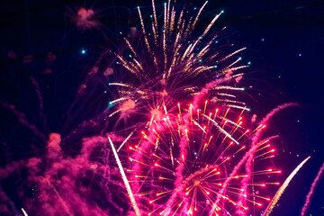 Beautiful multi-colored fireworks against the background of the night sky.