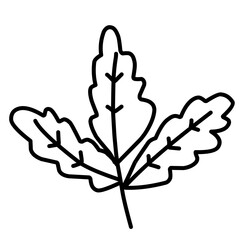 Obraz premium Vector Leaf Sketch