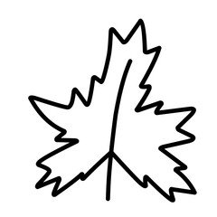 Vector Leaf Sketch