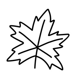 Vector Leaf Sketch