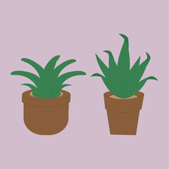 plant in pot vector. cute vector illustration of plants
