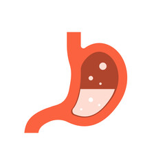 Stomach. Digestive system, vector illustration