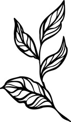 Linear peony flower. Hand drawn illustration. This art is perfect for invitation cards, spring and summer decor, greeting cards, posters, scrapbooking, print, etc.