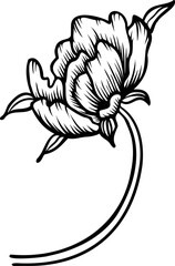 Linear peony flower. Hand drawn illustration. This art is perfect for invitation cards, spring and summer decor, greeting cards, posters, scrapbooking, print, etc.