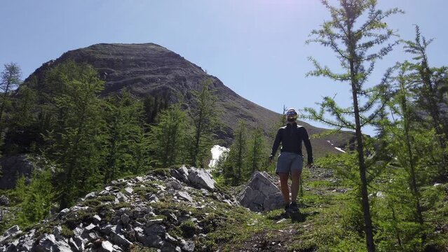Hiker watching admiring walking uphill followed, Rockies, Kananaskis, Alberta Canada