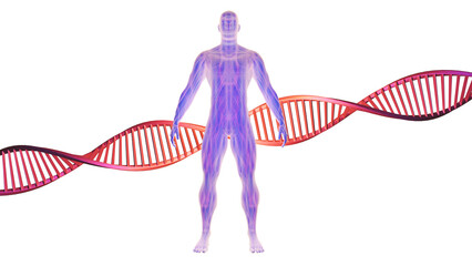 Quantum Biology. Human body with repeating inner textures. DNA molecule in background. 3d render illustration.