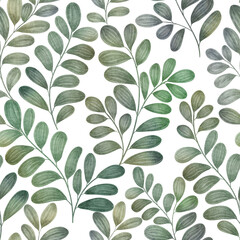 Fototapeta premium Spring green leaves seamless pattern isolated on white Watercolor foliage ornate background Fresh greenery botanical illustration