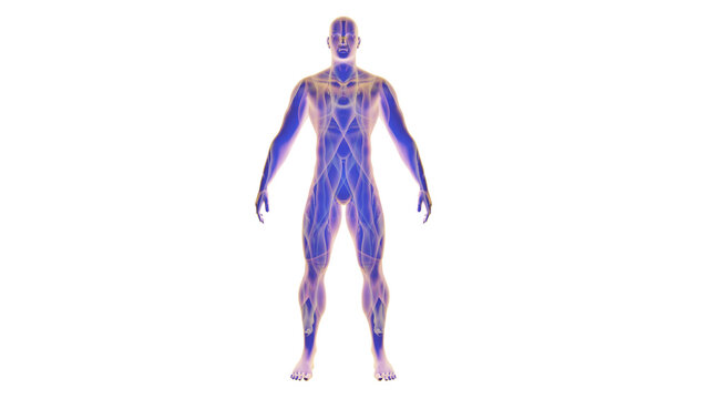 Quantum Biology. Human body with repeating symmetrical inner textures and patterns. 3d render illustration.