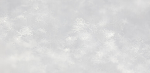 Small white snowflakes in winter as a background.