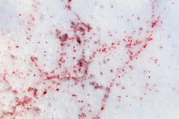 Drops of blood on white snow