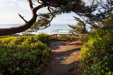 Beautiful Pacific Ocean coastal park path