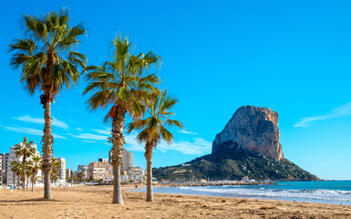 Calpe, beach, palm tree and mountain- Alicante province in Spain