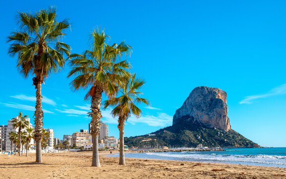 Calpe, beach, palm tree and mountain- Alicante province in Spain