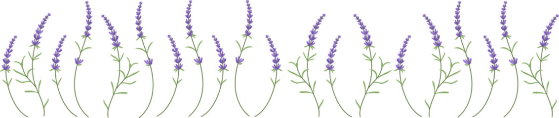 Lavender is a beautiful field flower for aromatic oils. Violet and lavender hues for trendy rustic eco packaging.