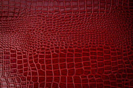 skin texture