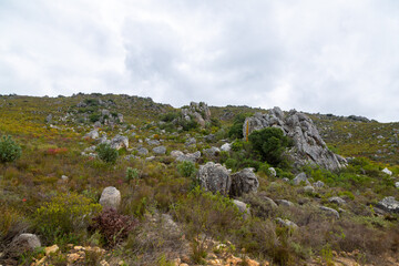 Fototapeta na wymiar Rocky landscape near Porterville in the Western Cape of South Africa