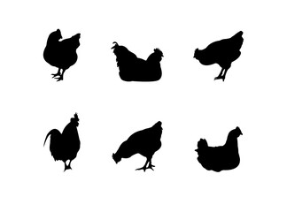 Collection of black silhouettes chickens