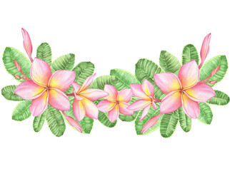 Watercolor Pink Plumeria Flowers and leaves. Hand-drawn watercolor composition for romantic design, weddings.