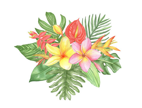 Watercolor tropical flowers bouquet composition with palm leaves and monstera on white background