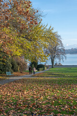 Naklejka premium balade au parc en automne