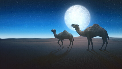 Camel crossing the desert