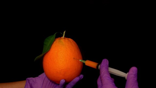Genetically modified foods. Fighting hunger. Laboratory tests. experiments with the harmonium of growth. Giant fruits