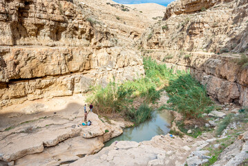Oasis in Prat River in Israel. Wadi Qelt valley in the West Bank, originating near Jerusalem and...