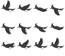 Crow flying animated sprite-sheet for video games.