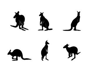Collection of black silhouettes kangaroos