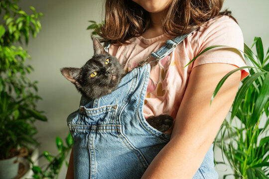 Girl with cat in pocket at home