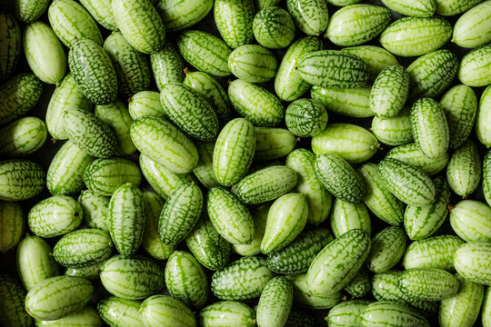 Full frame of freshcucamelons(Melothriascabra)