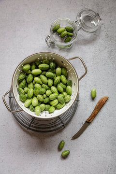 Colander of freshly picked cucamelons (Melothria scabra)