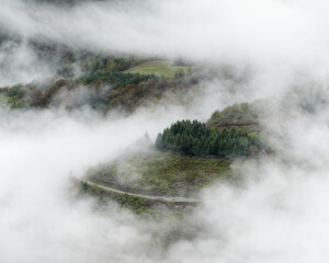 Mountain road between meadows and forests surrounded by fog