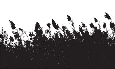 Trees Saccharum spontaneum flowers or kashful silhouette vector artwork illustrations