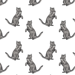  Cute cat pattern. Watercolor hand-drawn cat isolated on white background.Animal print