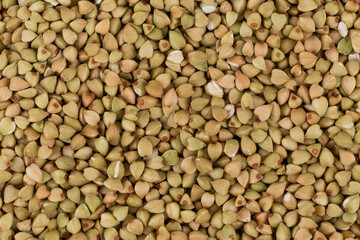 organic bio buckwheat