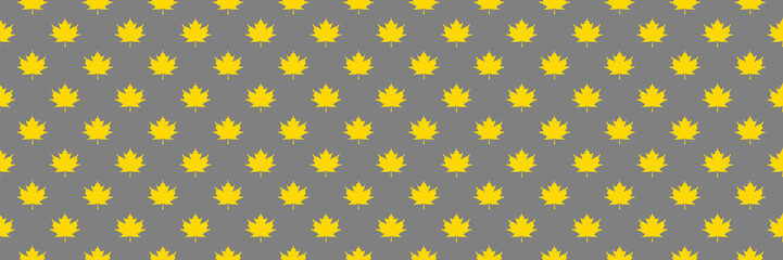 pattern of yellow maple leaves on a gray background. template for application to the surface. Horizontal image. Banner for insertion into site.