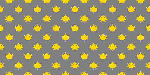 pattern of yellow maple leaves on a gray background. template for application to the surface. Horizontal image. Banner for insertion into site.