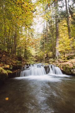 Long exposure of a lost river in a nature reserve surrounded by fallen colourful leaves and old deciduous trees in autumn. Stare hamry, Beskydy mountains, Czech Republic